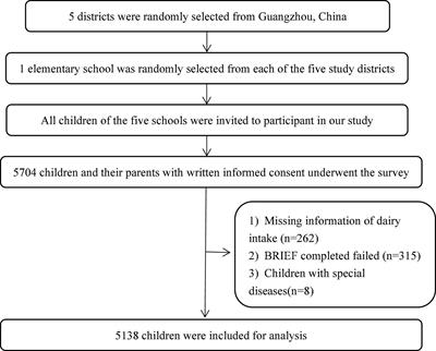 Association Between Dairy Intake and Executive Function in Chinese Children Aged 6–12 Years